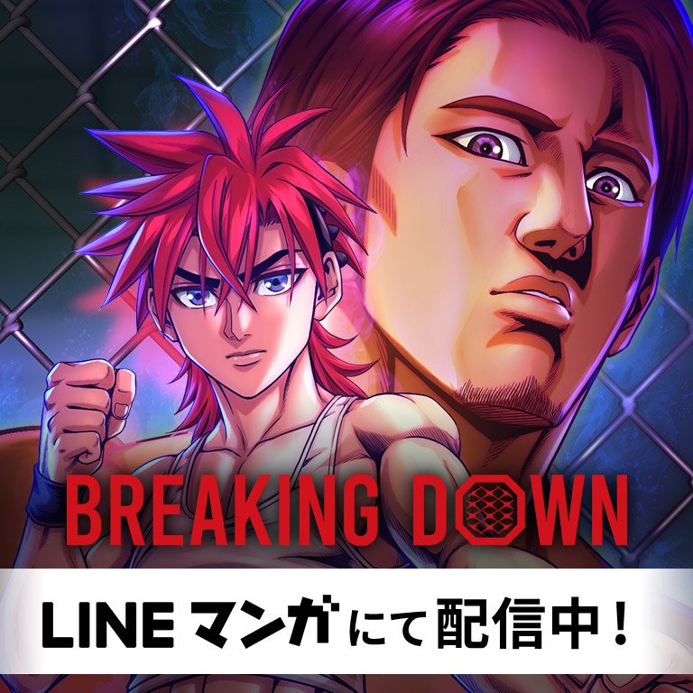 BreakingDown / ブレイキングダウン